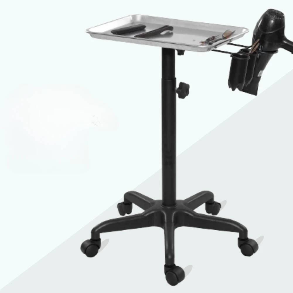 트롤리 에스테틱 카트 메이크업 롤링 메디컬 살롱 트롤리 - Beauty Makeup Trolley 리뷰 및 가격